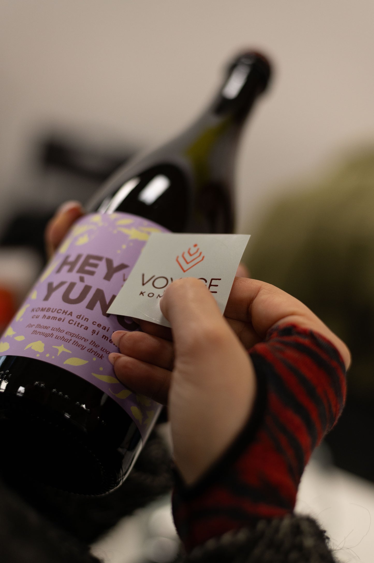 Cutie 4 x Hey Yunu Kombucha