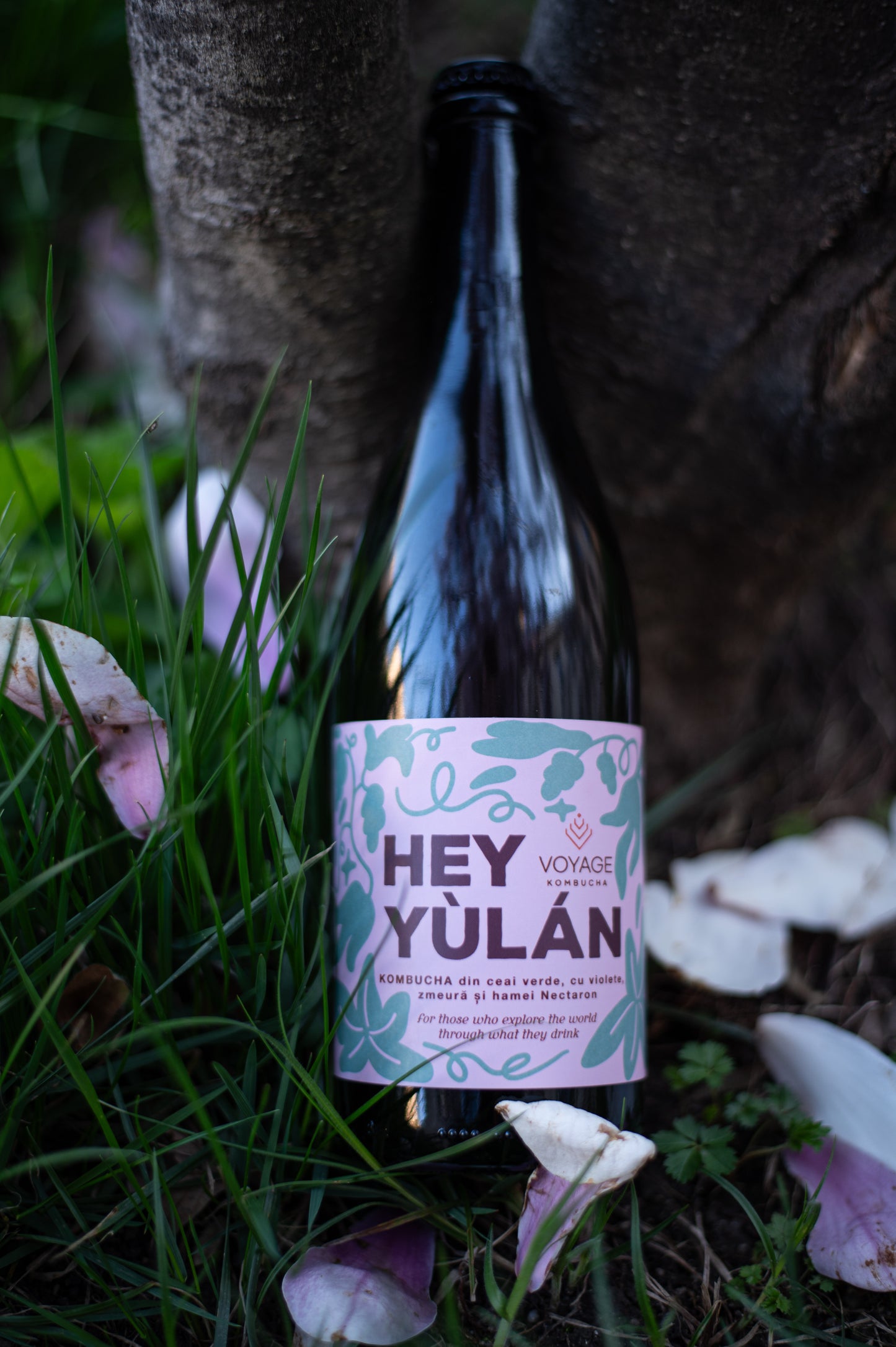 Hey Yulan Kombucha