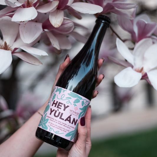 Hey Yulan Kombucha