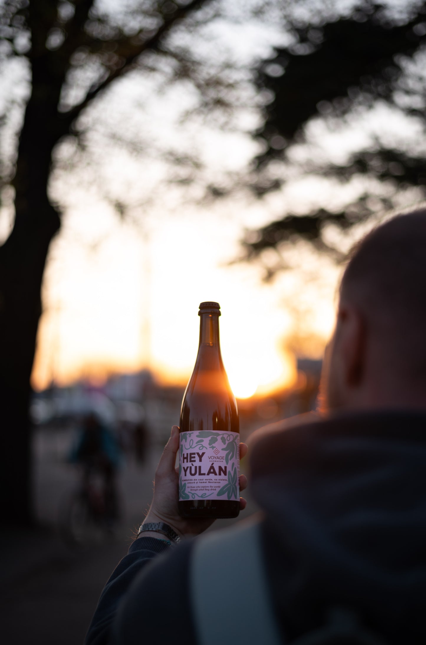 Hey Yulan Kombucha