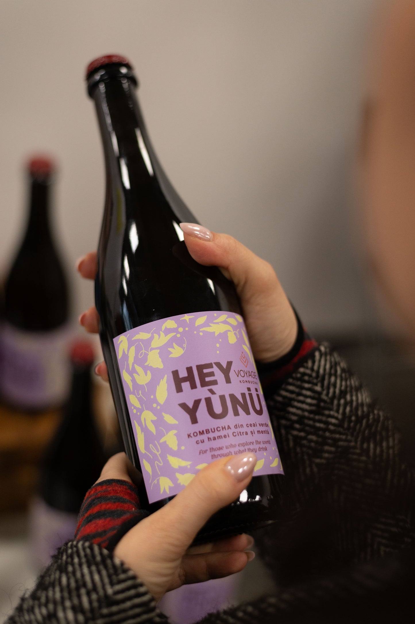 Cutie 4 x Hey Yunu Kombucha