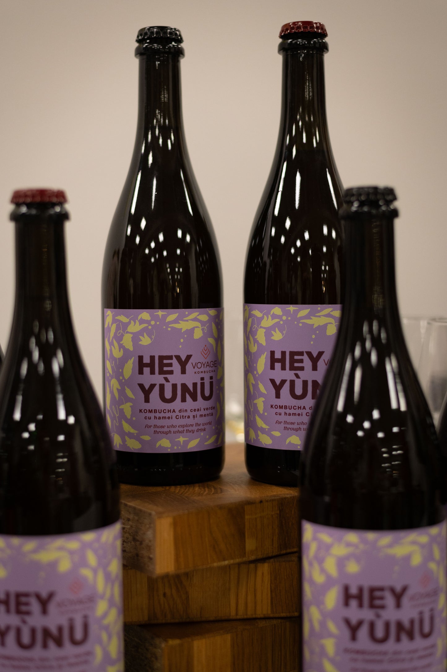 Cutie 4 x Hey Yunu Kombucha