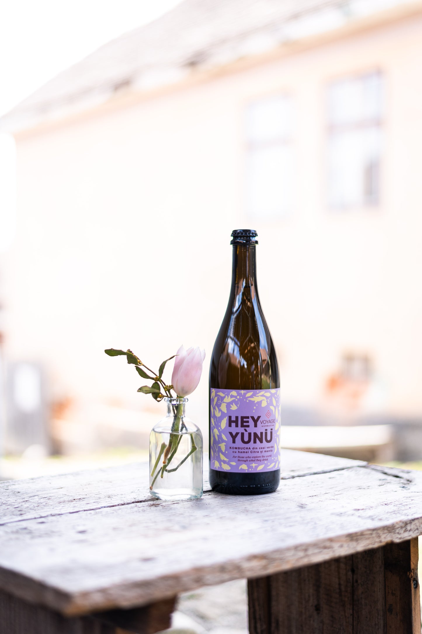 Hey Yunu Kombucha