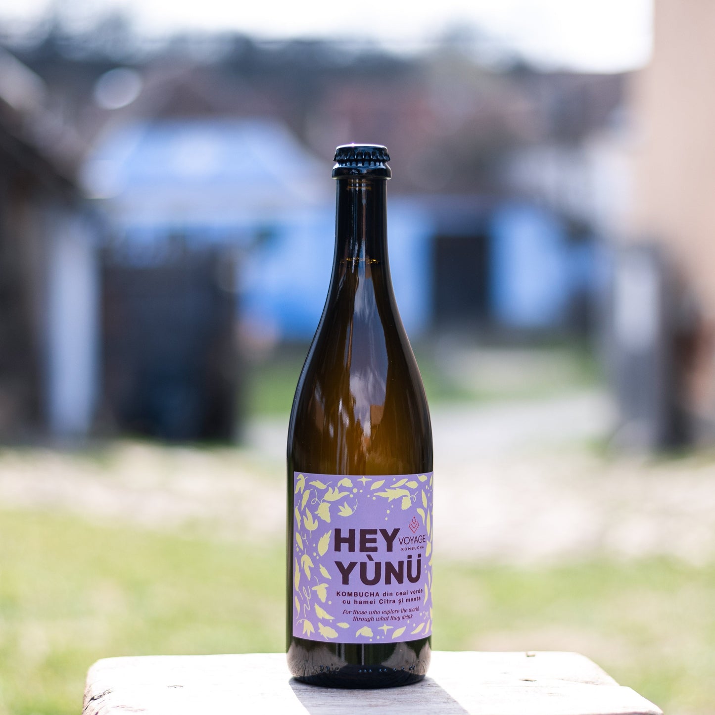 Hey Yunu Kombucha