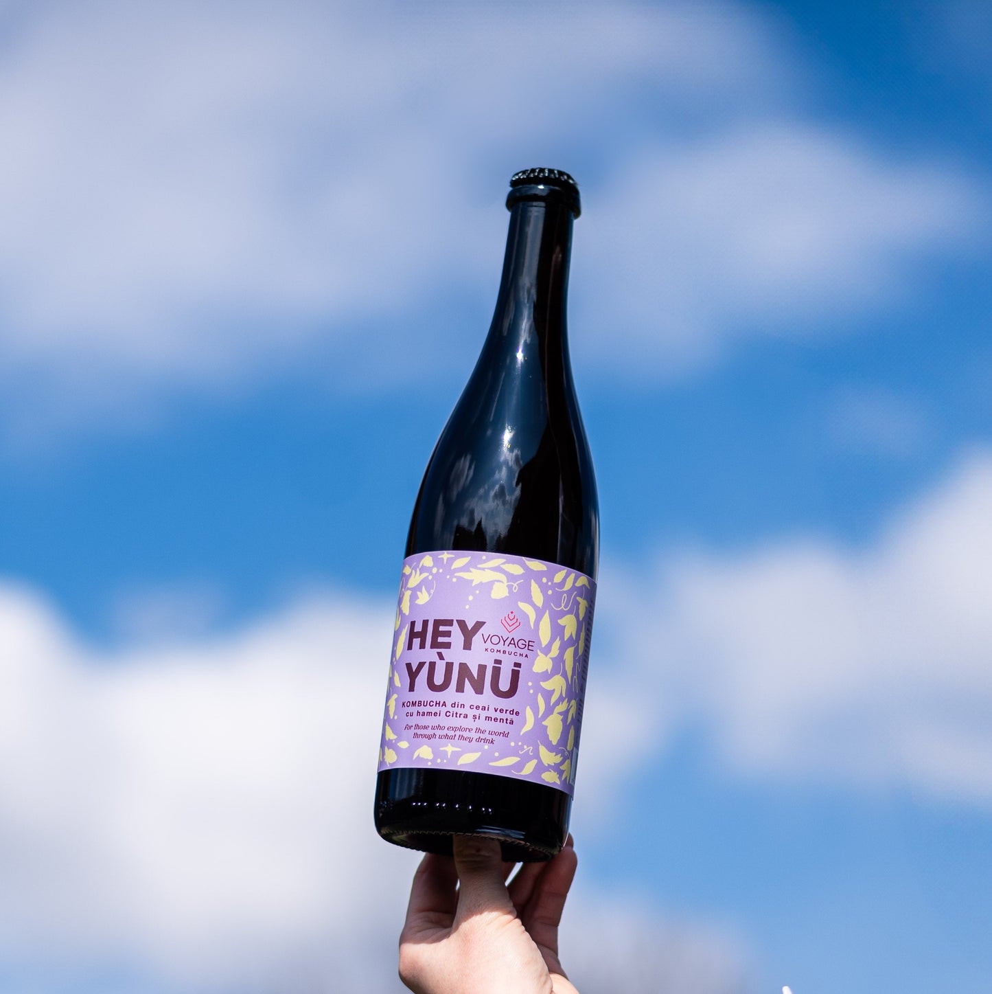 Hey Yunu Kombucha