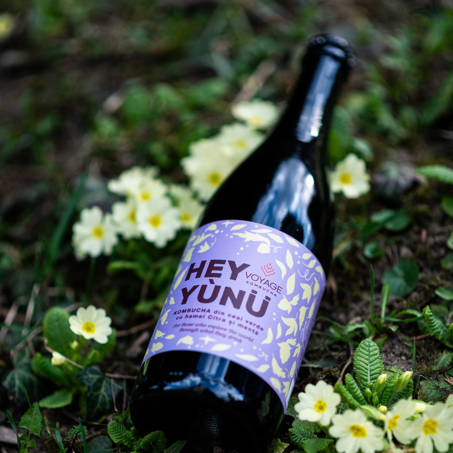 Hey Yunu Kombucha